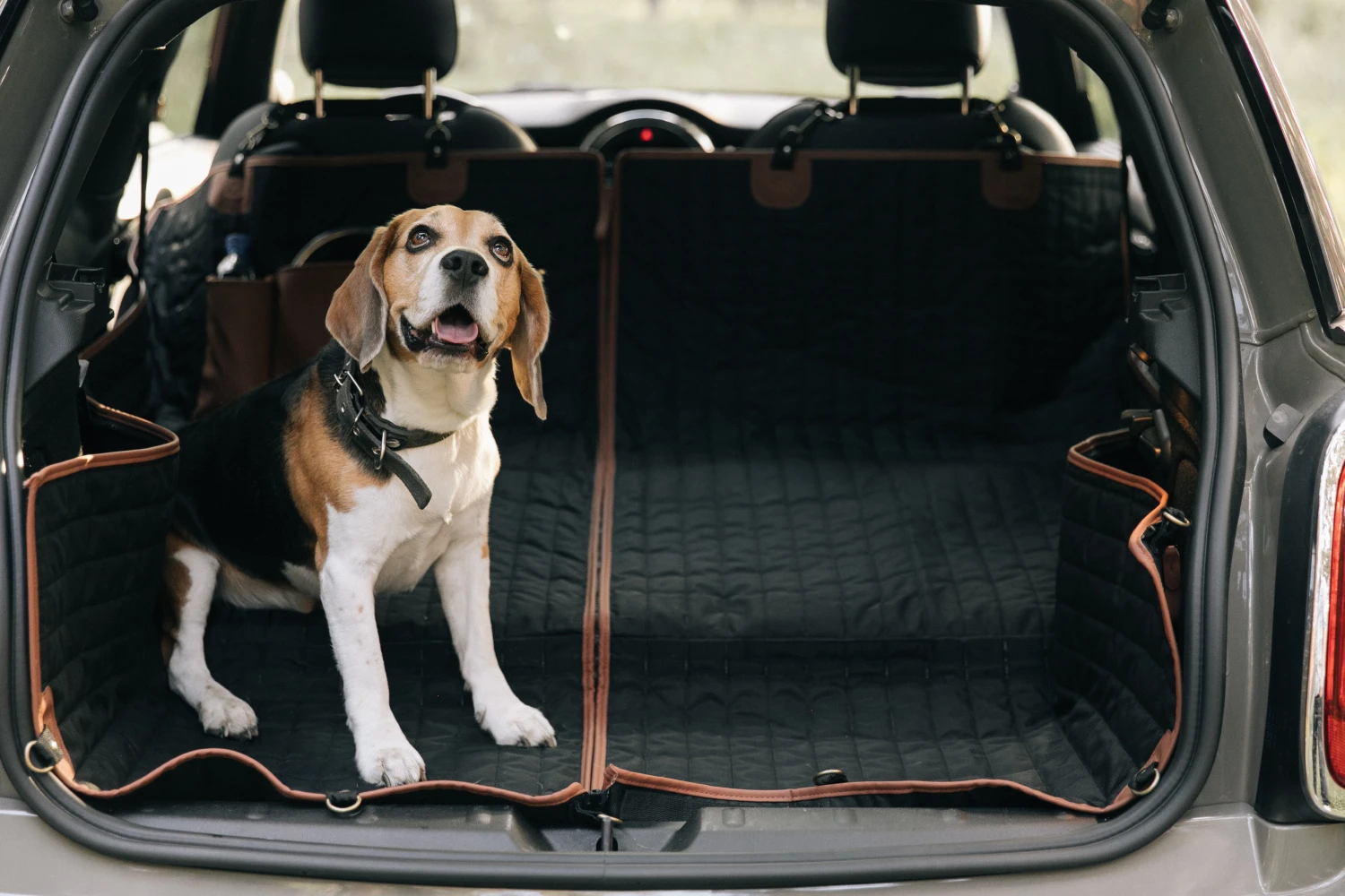 dog back seat cover for Nissan Frontier
