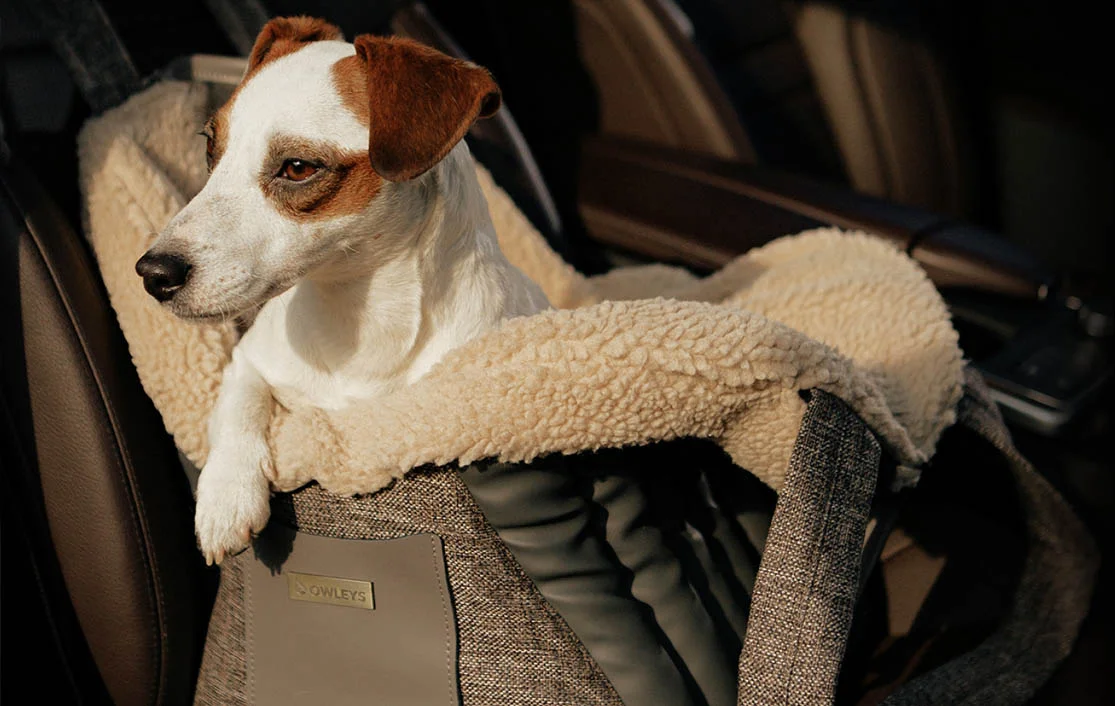Bedlington Terrier Dog Carrier Car Seat for Kia Optima