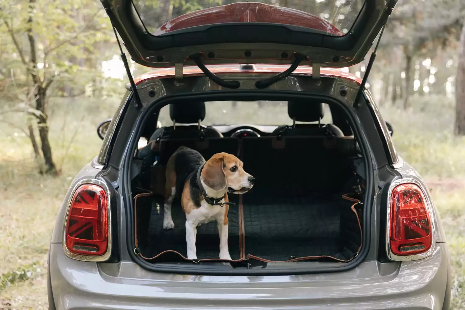 dog back seat cover for Ford Ranger