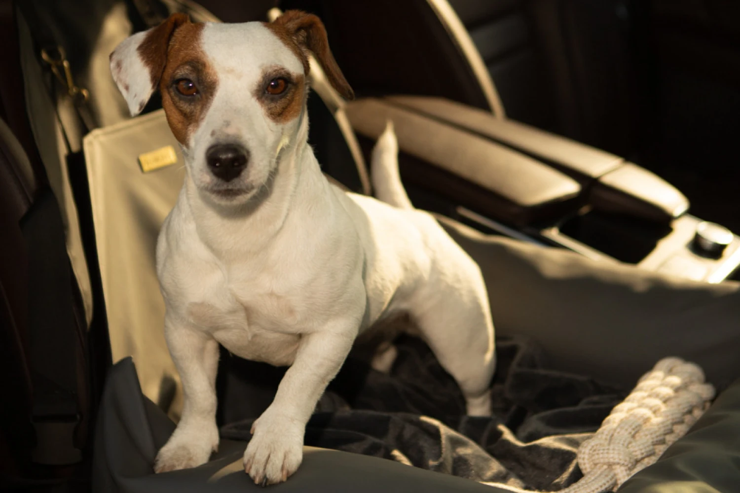 Cockapoos Dog Car Seat for Chevrolet Traverse