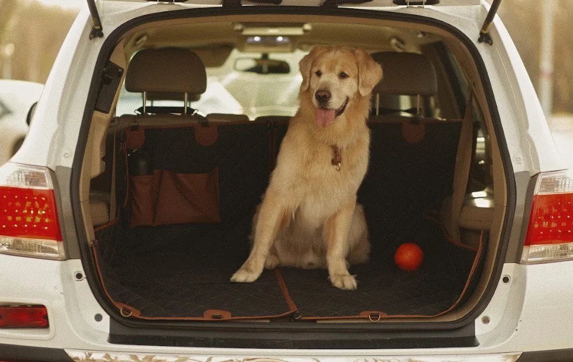 pet seat cover for Ford Ranger