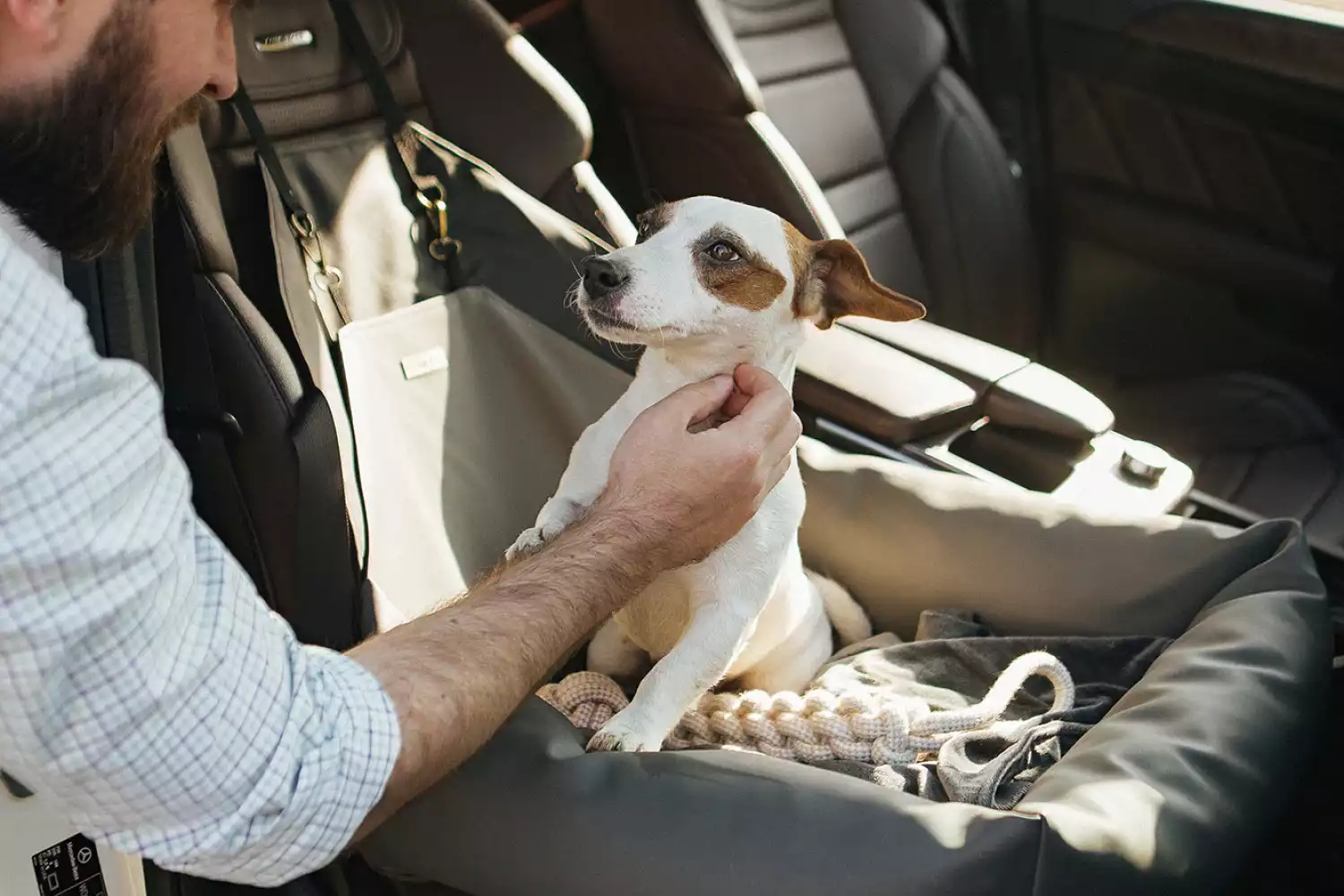 Nissan Maxima Dog Car Seat for Petit Basset Griffon Vendeens