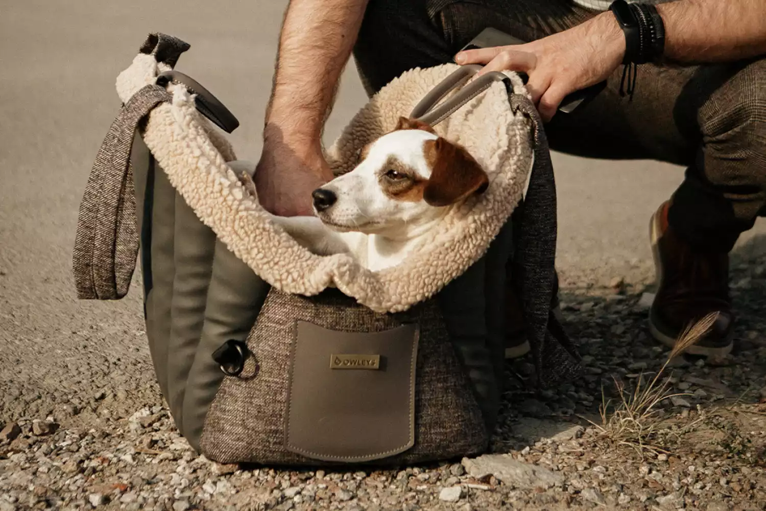 Dog Carrier Purse for Pekingese