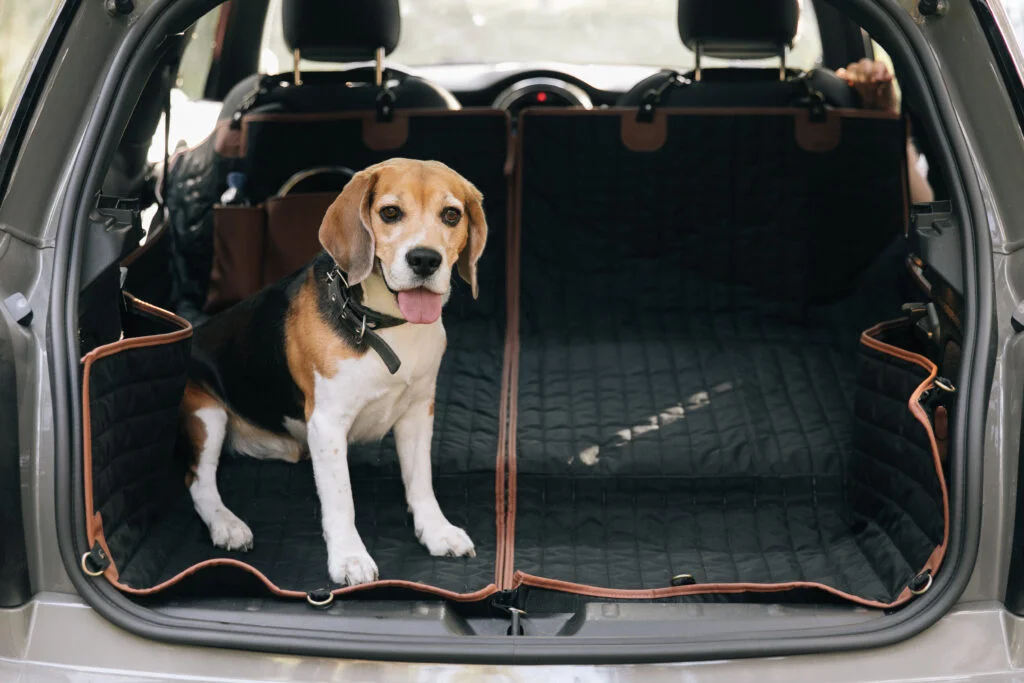 pet seat cover for Volkswagen Passat