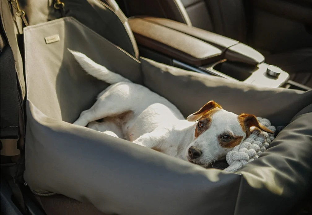 Kia Optima Dog Car Seat for Pekingese