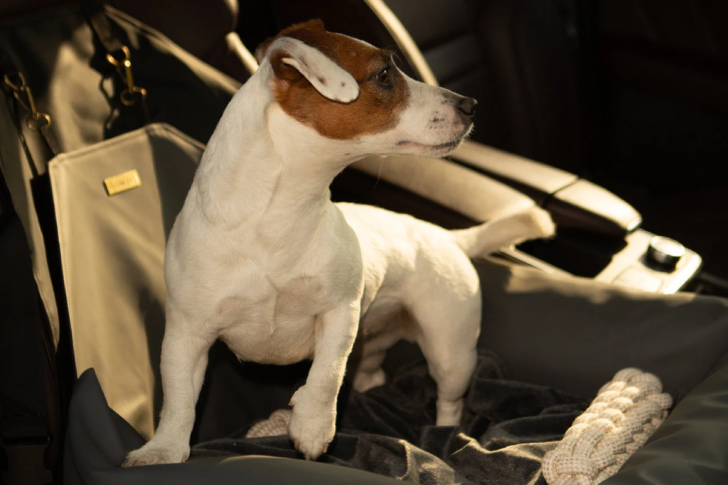 Ram Truck Dog Car Seat for Skye Terriers