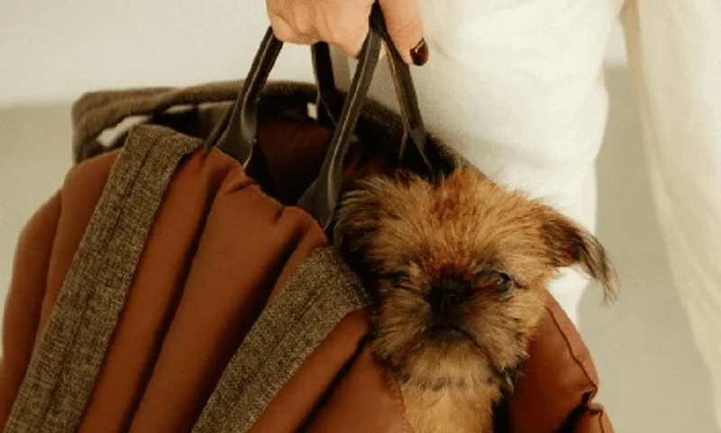 Dog Carrier Purse for Yorkshire Terrier