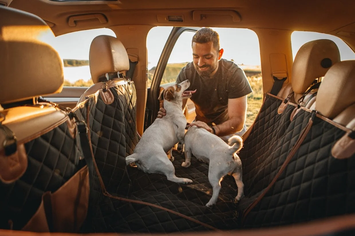 Beagles back seat cover for Hyundai Santa Fe