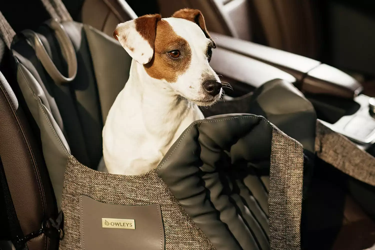 Japanese Spitz Dog Carrier Car Seat for Nissan Altima