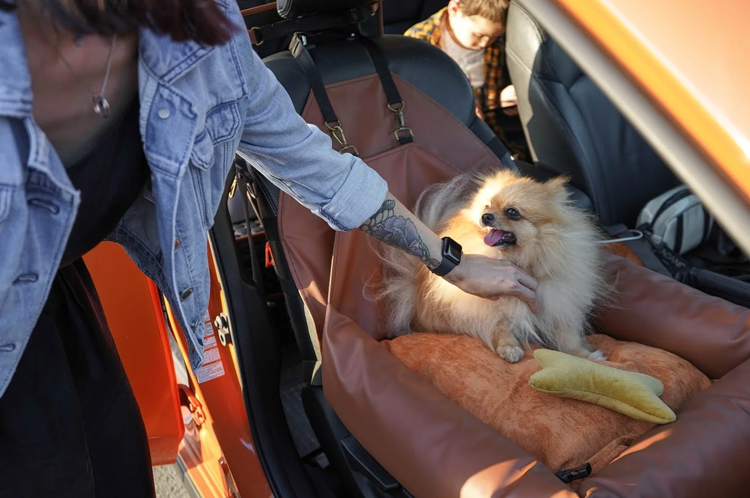 Ford Mustang Dog Car Seat for Brussels Griffons